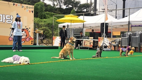 댕댕이와 신나는 가을나들이…25일 송파 반려동물 한마당