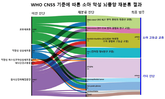 서울대병원, 소아 악성 뇌종양 WHO 기준 재분류…예후·유전 특성 규명