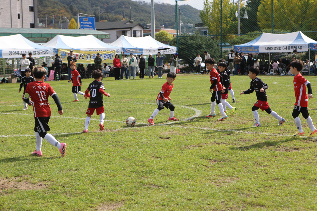 '양구, 유소년 축구의 꿈이 피어나는 곳' 2025년 힐링 양구컵 전국 …