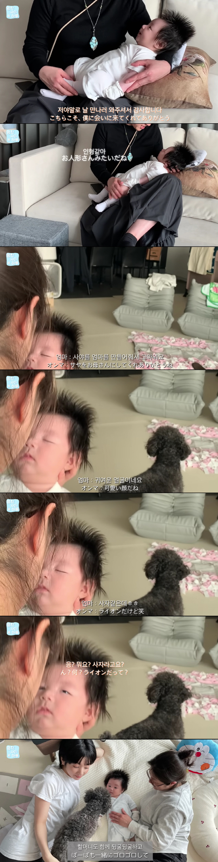 심형탁 子 하루, 日 외조모와 첫만남 "♥사야를 엄마로 만들어줘서 고마워"(형탁사야의하루)