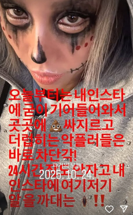 '강원래♥' 김송, '민주당 개입 발언' 후 악플러에 "바퀴벌레들"