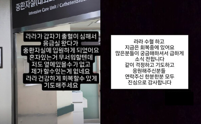 '산후 출혈' 임라라 "쌍둥이 손 못 잡아볼 뻔...응급실, 산모 안 받…