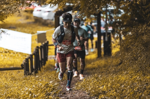 [픽! 정읍] 단풍을 넘어 '웰니스'로…내장산 달리는 건각들
