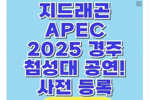 "지드래곤 첨성대서 APEC 축하 공연" 알고 보니 가짜뉴스