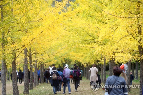[연합뉴스 자료사진]