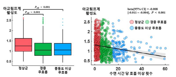 치매 유발 '수면무호흡증', 뇌 노폐물 배출 기능 저하 유발