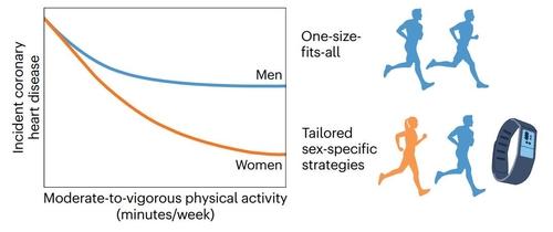 [건강포커스] "운동의 심혈관 보호 효과, 여성이 남성보다 훨씬 크다"