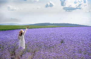 [여행소식] 체코관광청 