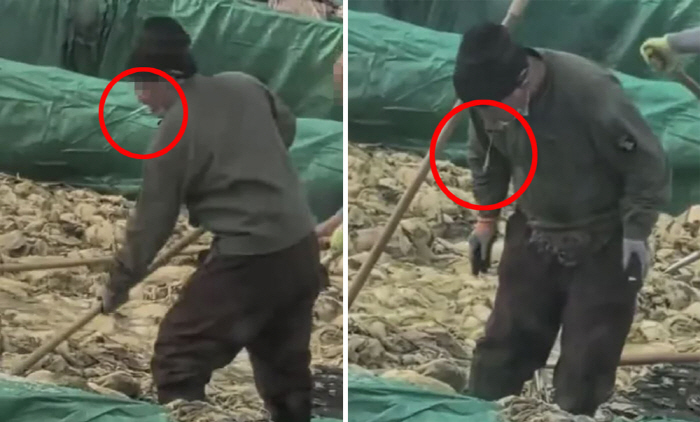 배추 절이면서 담배 피우고 가래침 뱉어 '경악'…누가 먹어?
