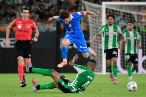 경기장에 놓인 꽃 한 송이…딸 잃은 부모팬 바람 들어준 알바레즈, 세상에서 가장 아름다운 팬서비스