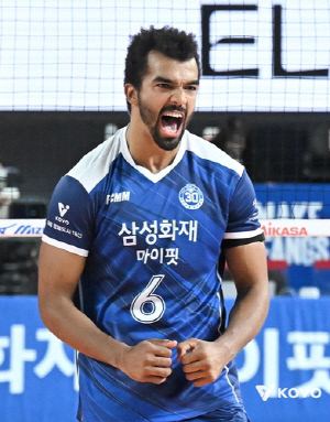 프로배구 타이틀 경쟁 '춘추전국시대'…득점왕은 혼전 양상