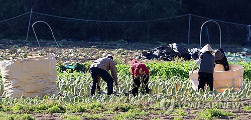 평창 봉평 -1.9도 영하권 '뚝'…낮과 밤 기온 차 15도 안팎