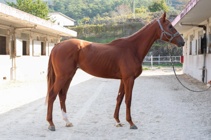 '승급 도전' 4등급 유망주 한 자리 모인다…승자는