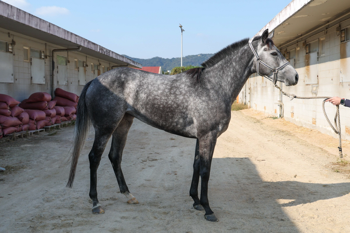 '승급 도전' 4등급 유망주 한 자리 모인다…승자는