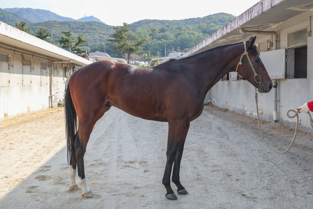 '승급 도전' 4등급 유망주 한 자리 모인다…승자는