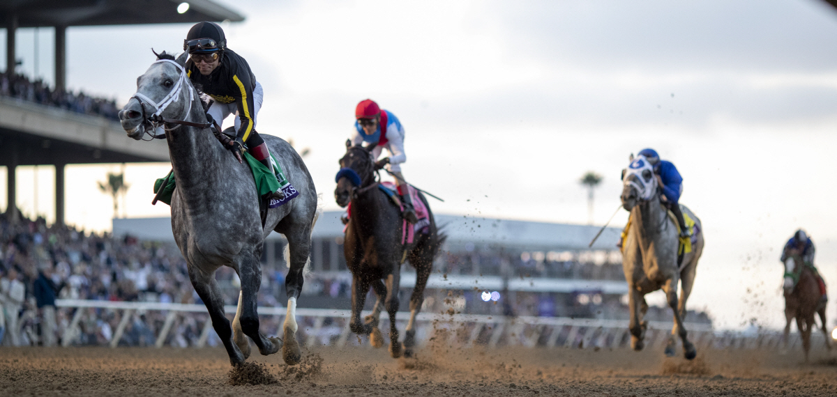 세계 챔피언 경주마 닉스고, 12월 국내 씨수말 도입!