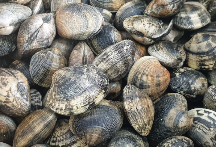 '겨울 바다의 보약' 조개류 안전한 섭취법은?
