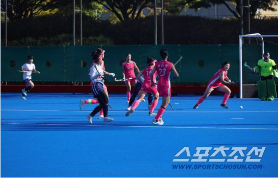 "실업팀 창단의 꿈★" 문체부,직장운동부 창단 193억원 규모 지원...…