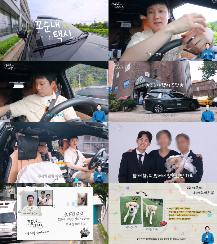 ‘254만 유튜버’ 빠니보틀, 돌연 활동 중단..택시 기사로 새 출발