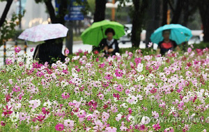 중부·전라권 중심 비…낮 최고 22도 '따뜻'