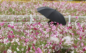 강원 차차 흐려져 밤부터 비…큰 일교차 주의