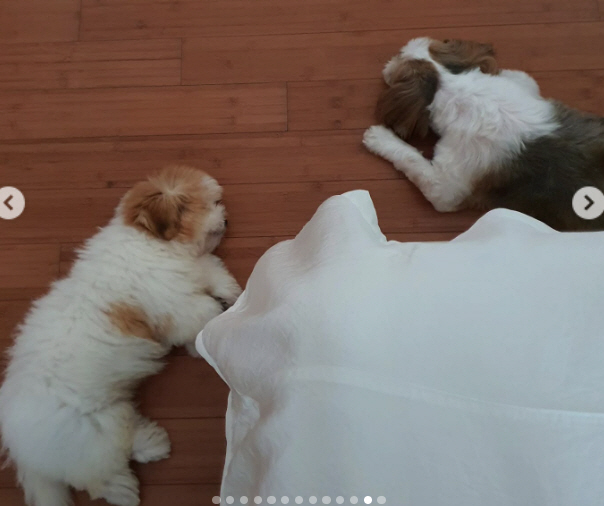 '100억 CEO' 황혜영, 사랑하는 가족 잃었다.."내 큰 아들, 잘가…