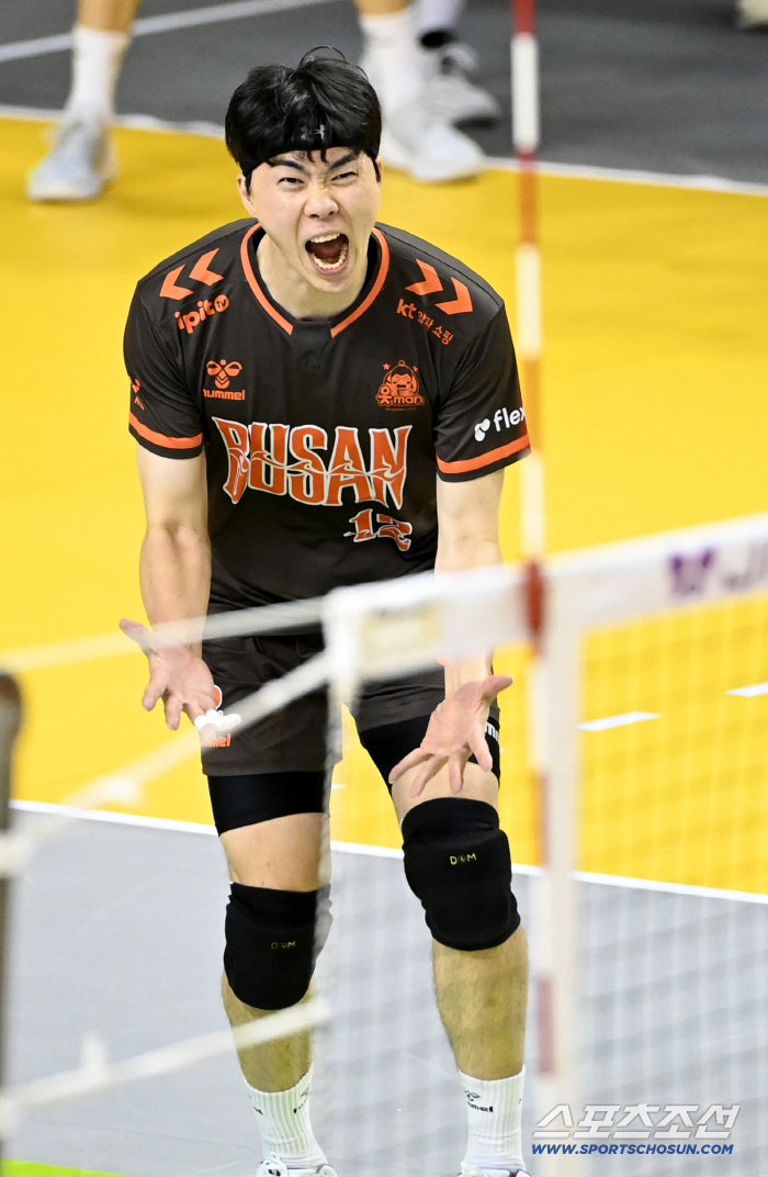 2G 연속 풀세트 → 셧아웃 패배…'전광인 더비' 임하는 신영철 감독 "생각이 많아진다" [천안포커스]