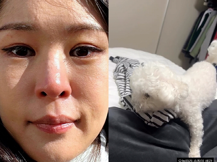 '김태현♥' 미자, 애끓는 심경 고백…"오늘따라 생각 많이 나네, 언제쯤…