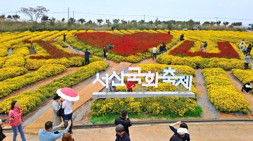 가을 정취 만끽…서산서 11월 7∼16일 국화축제