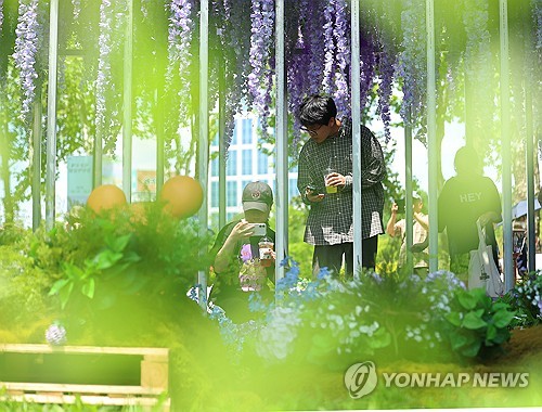 (서울=연합뉴스) 김도훈 기자 = 22일 서울 동작구 보라매공원에서 열린 2025 서울국제정원박람회를 찾은 시민들이 등나무 터널에서 사진을 찍고 있다. 올해 10회째를 맞이한 이번 전시는 '서울, 그린 소울(Seoul, Green Soul)'를 주제로 총 110여개의 정원이 가꾸어졌으며 10월 20일까지 진행된다. 2025.5.22 superdoo82@yna.co.kr