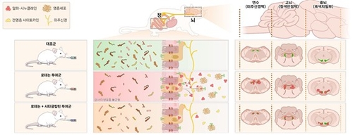 "흔히 먹는 당뇨약이 파킨슨병 진행 막는다"