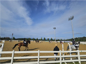 가을 끝자락 11월 제주서 61개 스포츠대회…3만여명 참가