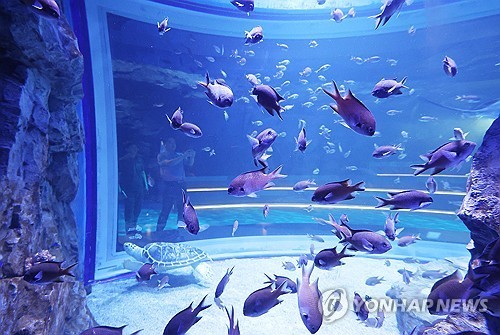 해양생명 전시·체험…김제시, 국립해양생명과학관 건립 추진