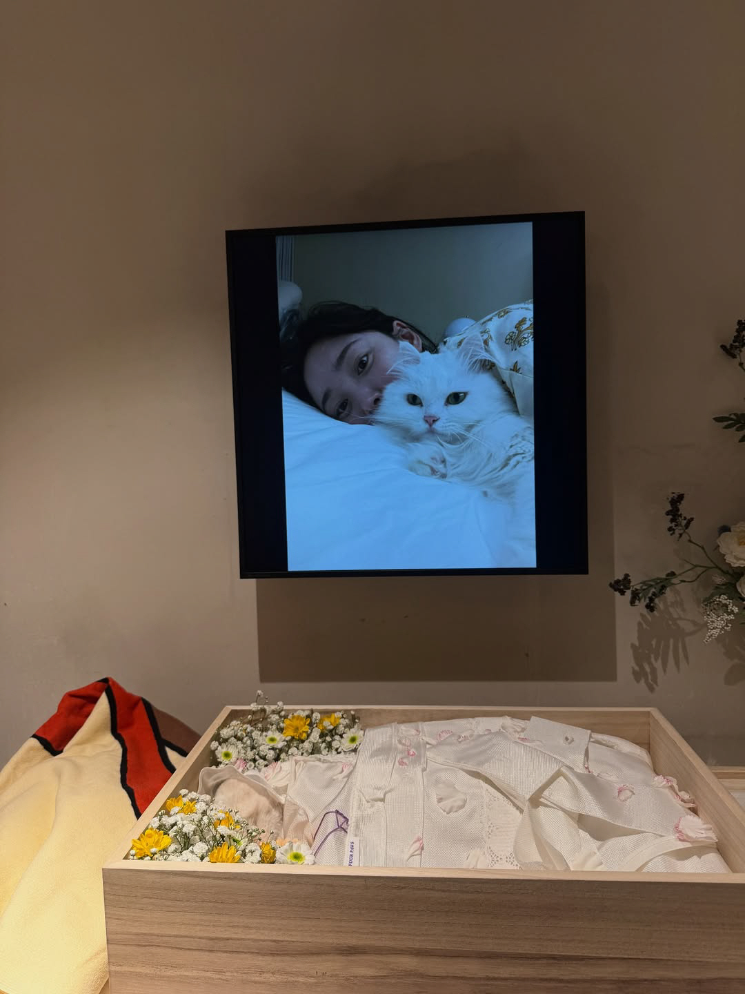 최희, 안타까운 소식 전했다..."10년 함께한 공주와 갑작스러운 이별"