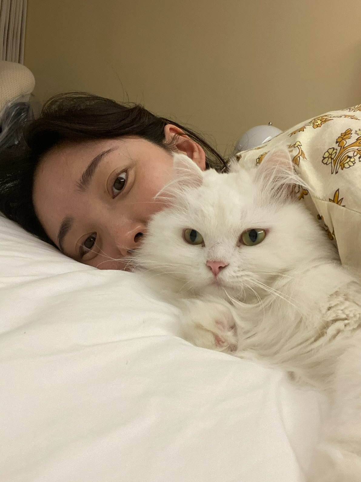 최희, 안타까운 소식 전했다..."10년 함께한 공주와 갑작스러운 이별"