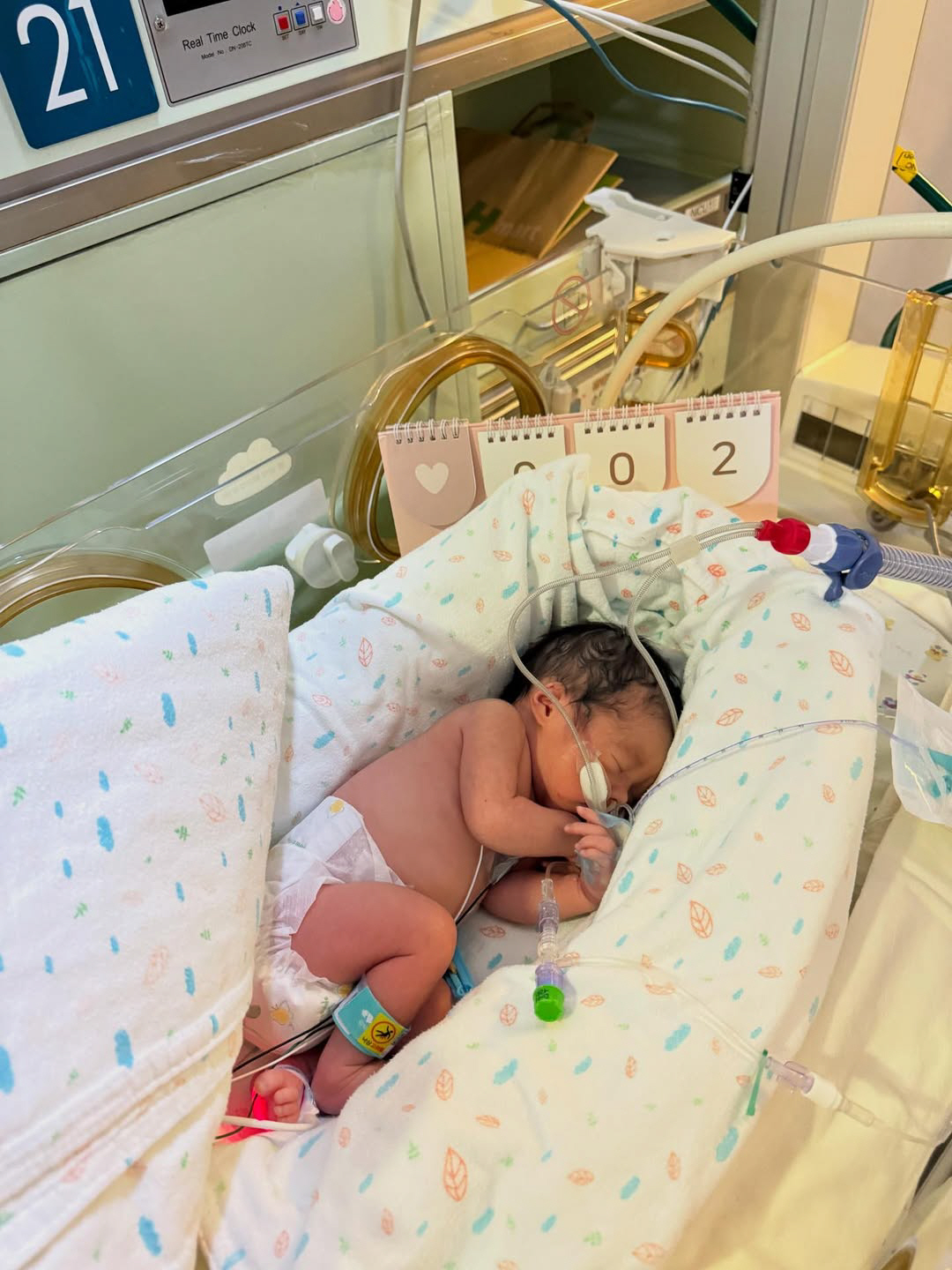 '이혼 후 임신' 이시영, 4일 둘째 딸 출산 "평생 행복하게 해줄께"