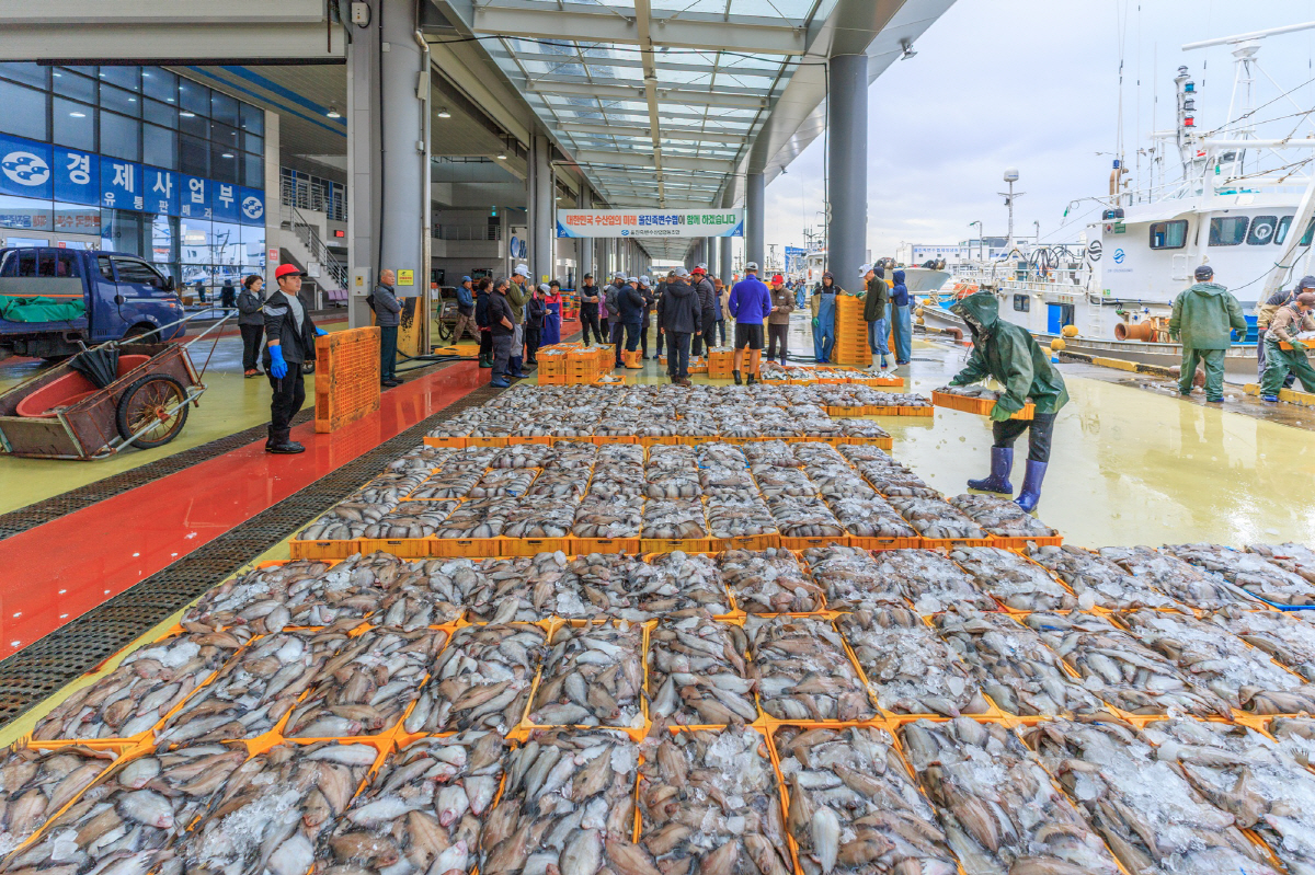 사계절을 품은 '울진'…지나간 계절의 여운, 겨울 매력 발산 준비도