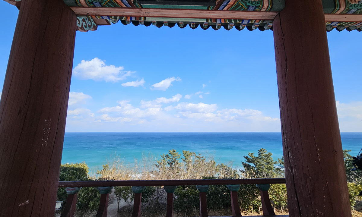 사계절을 품은 '울진'…지나간 계절의 여운, 겨울 매력 발산 준비도