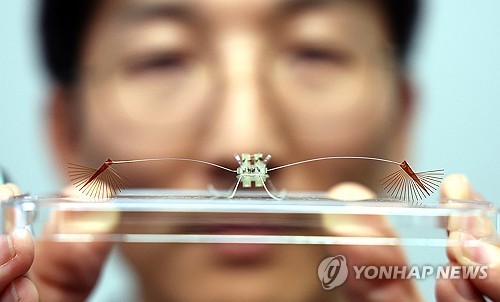 뛰어야 벼룩?…한 번도 쉬지 않고 3만번 점프하는 '능력자'