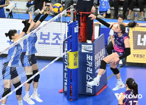 '4연패' 흥국생명 vs '3연패' 기업은행, 7일 벼랑 끝 대결