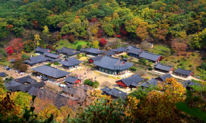 만추의 계절, 전남서 단풍길 걸으며 힐링하세요