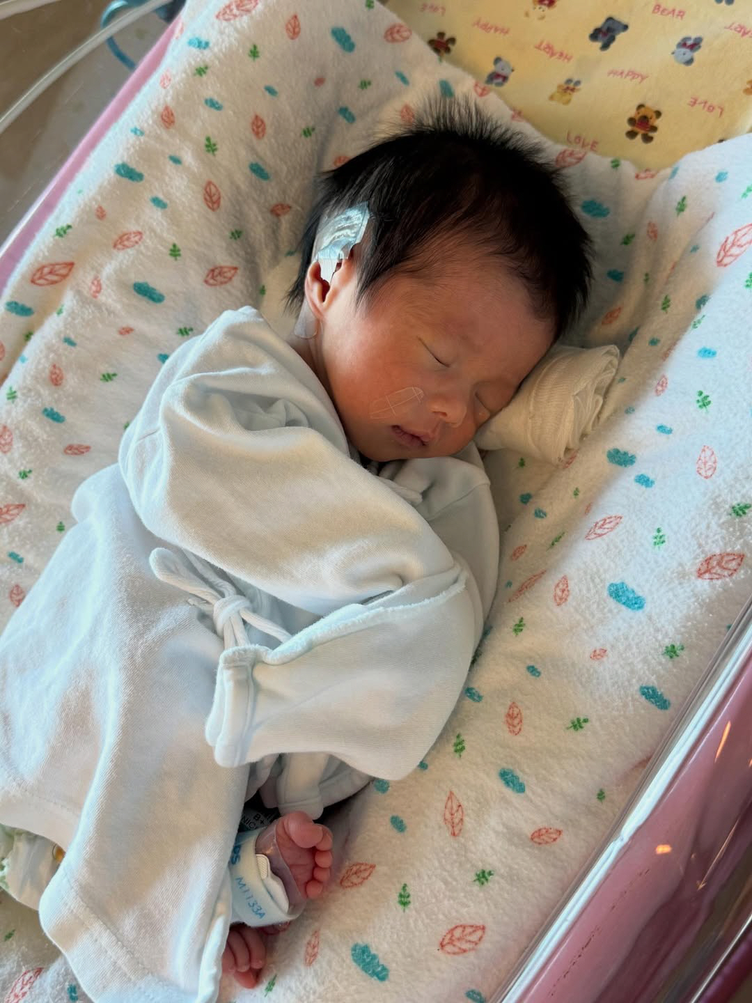 이시영, 생후 2일차 딸 최초 공개...오똑 콧날+母 손 꼭 잡은 '천사…