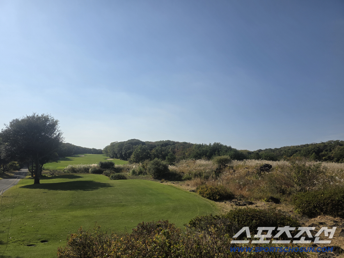 투어 21년, 통산 13승 베테랑 '박카스 형' 우승 감이 왔단다..."…