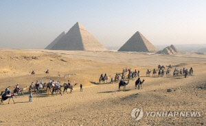 [아프리카는] (93)'사막의 강자' 낙타…낙타유는 슈퍼푸드