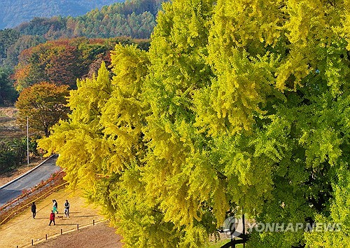 강원 낮 최고 20도…일교차 커 건강관리 유의