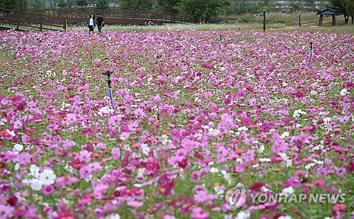 부산·울산·경남 대체로 구름 많아…밤낮 기온 차 커