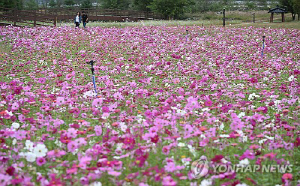 부산·울산·경남 대체로 구름 많아…밤낮 기온 차 커