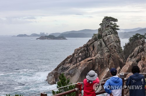 [걷고 싶은 길] '파도의 걸작' 하조대 품은 해파랑길42코스