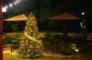 스타벅스, 전국 13개 매장에 크리스마스 트리 설치