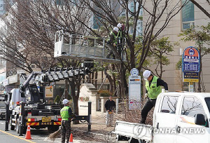 5년간 서울서 축구장 21개 면적의 가로수 사라져